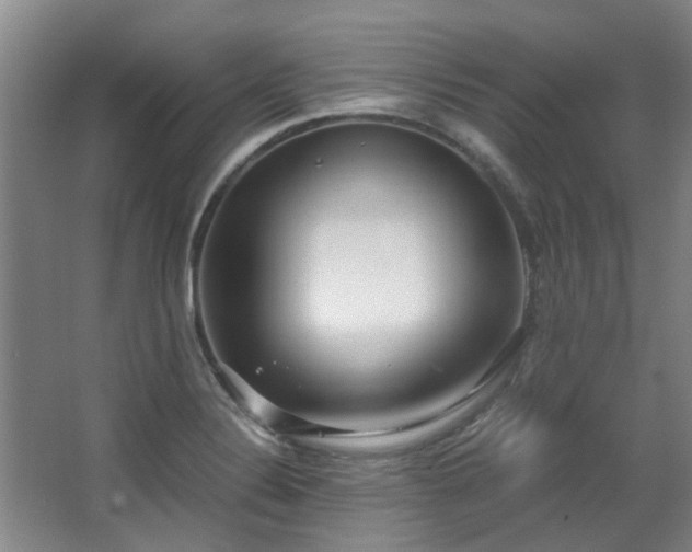 X0000068311324200604241353