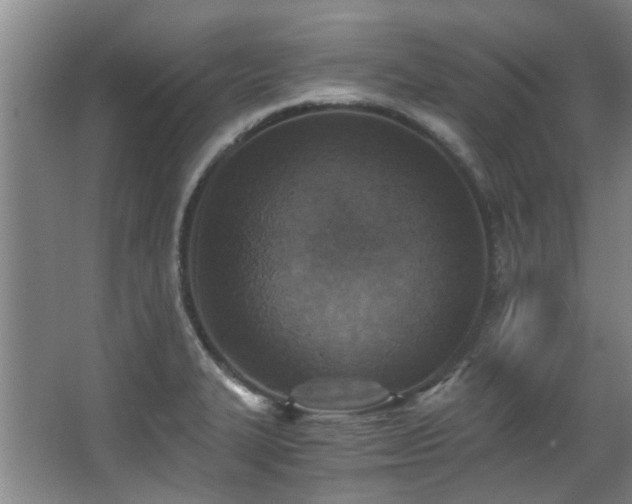 X0000068311327200604241353