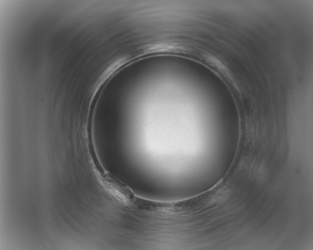 X0000068311330200604241353