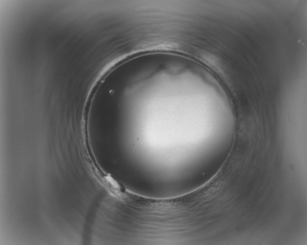 X0000068311332200604241353