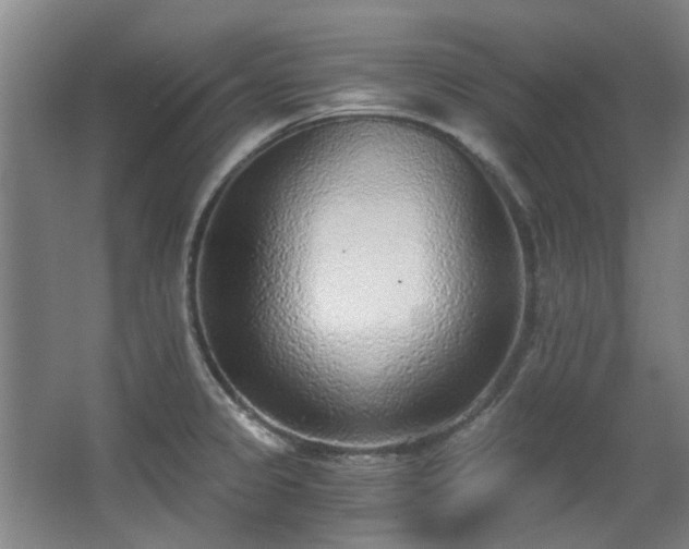 X0000068311333200604241353