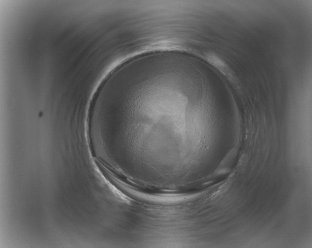 X0000068311334200604241353