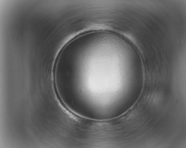 X0000068311335200604241353