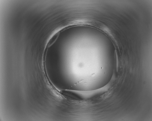 X0000068311336200604241353