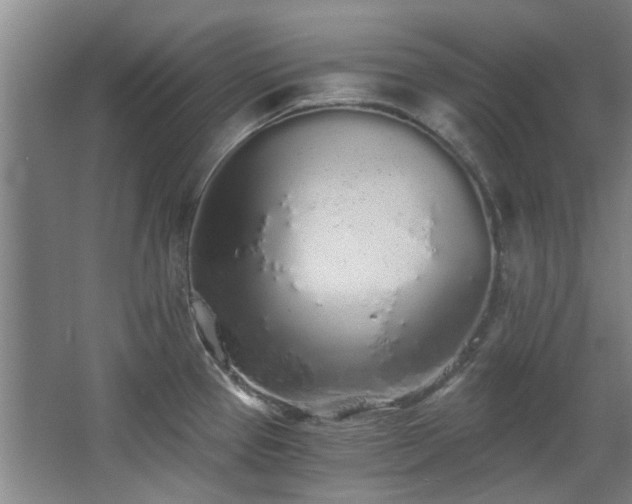 X0000068311337200604241353