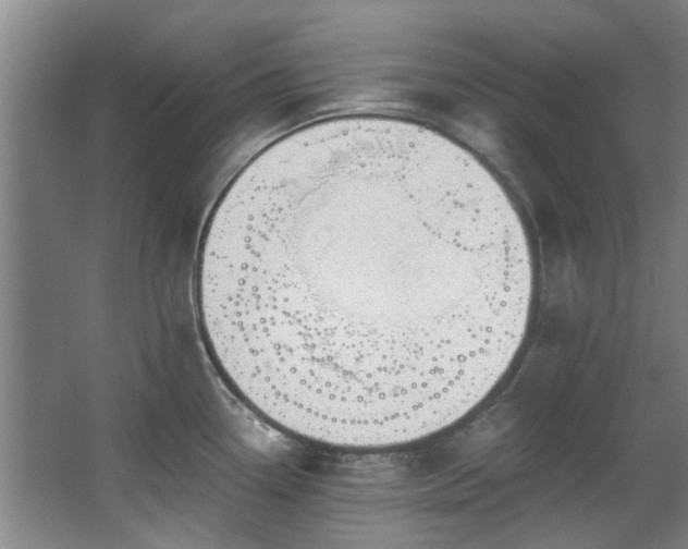 X0000068311338200604241353