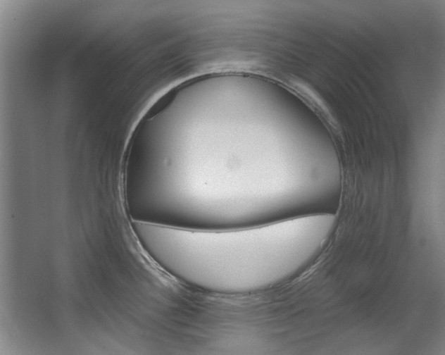 X0000068311340200604241353