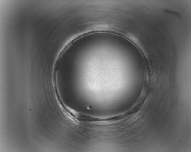 X0000068311342200604241353