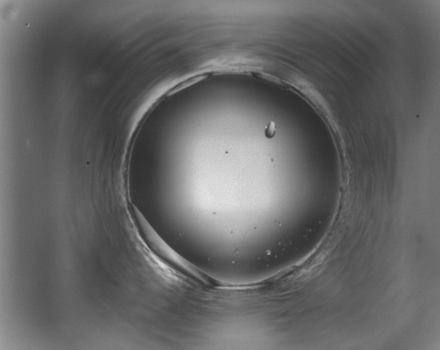 X0000068311344200604241353