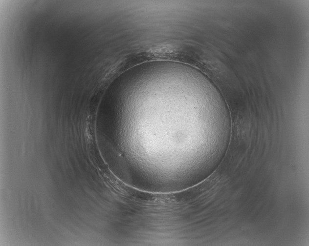 X0000068311346200604241352