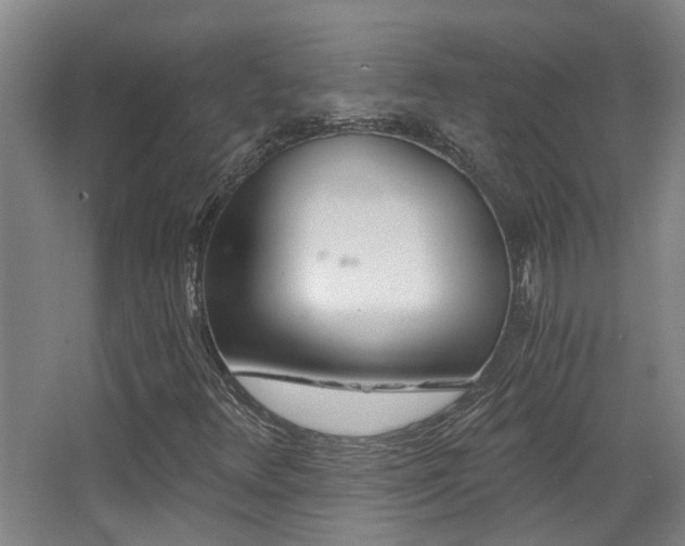 X0000068311348200604241352