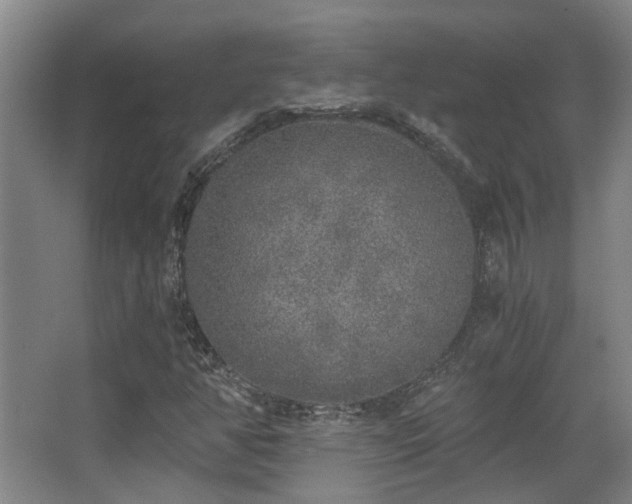 X0000068311350200604241352