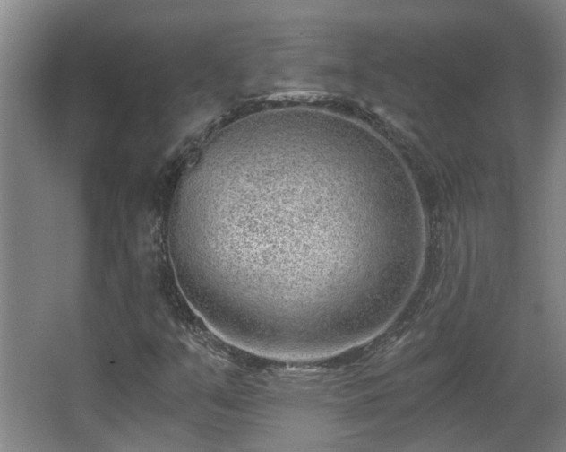 X0000068311351200604241352