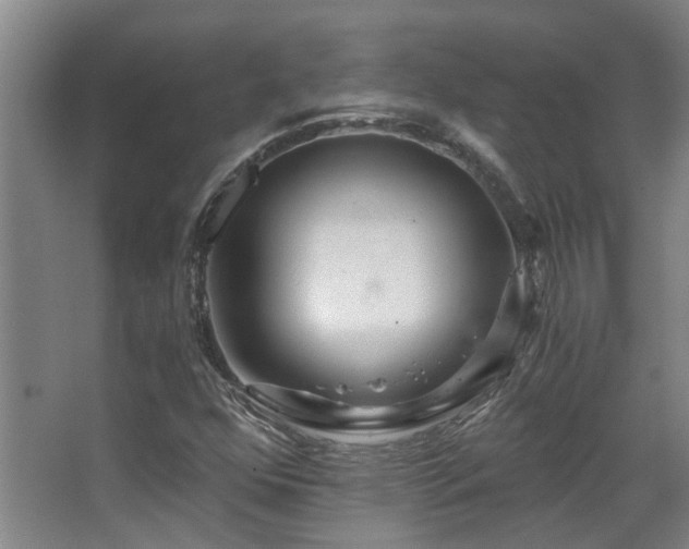 X0000068311352200604241352