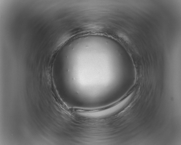 X0000068311354200604241352