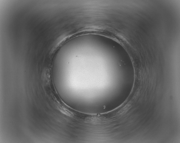 X0000068311355200604241352