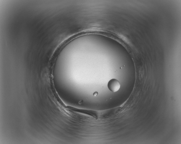 X0000068311356200604241352