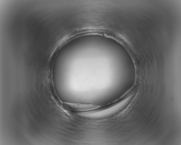 X0000068311357200604241352