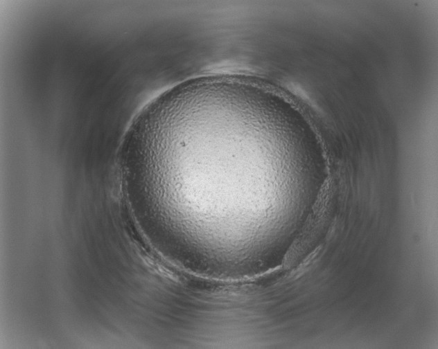 X0000068311358200604241352