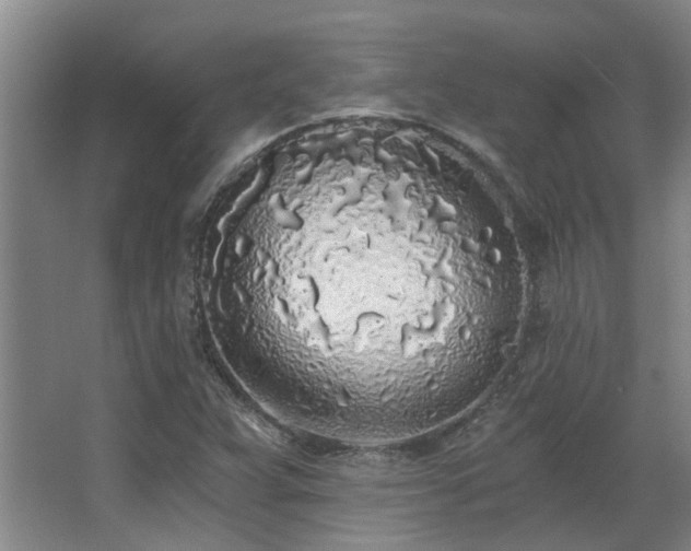 X0000068311359200604241352