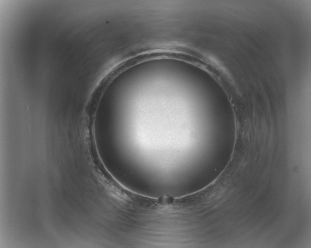 X0000068311360200604241352