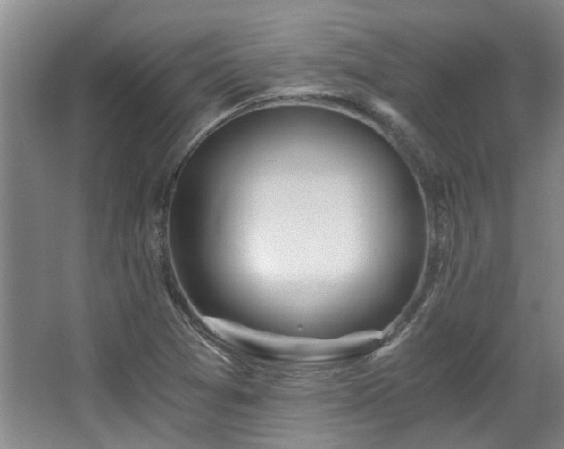 X0000068311361200604241352