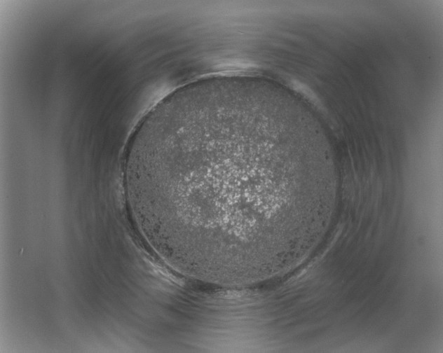 X0000068311362200604241352