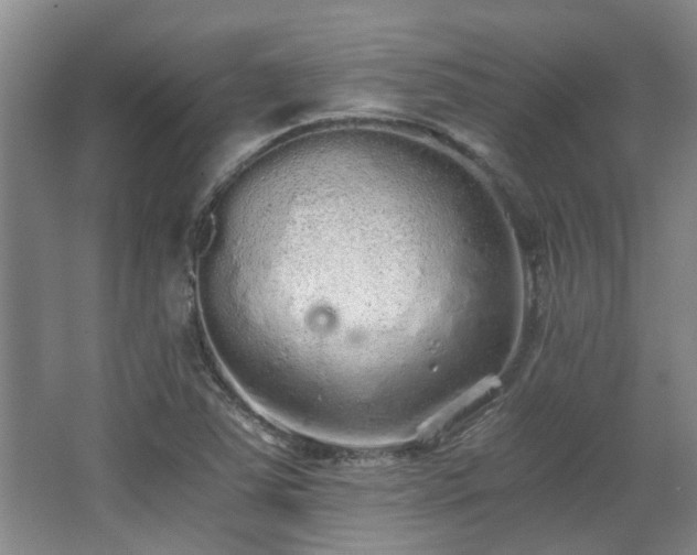 X0000068311363200604241352