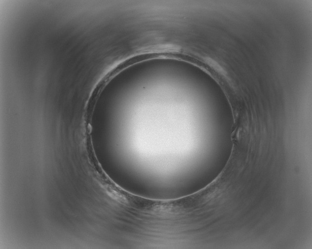 X0000068311364200604241352