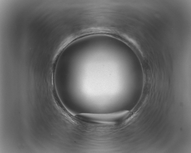 X0000068311365200604241352