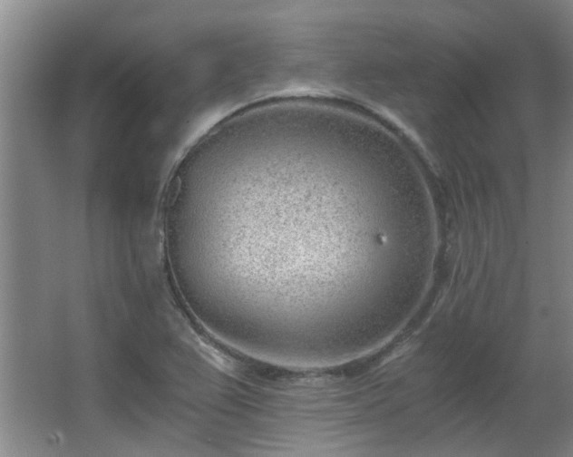 X0000068311367200604241352