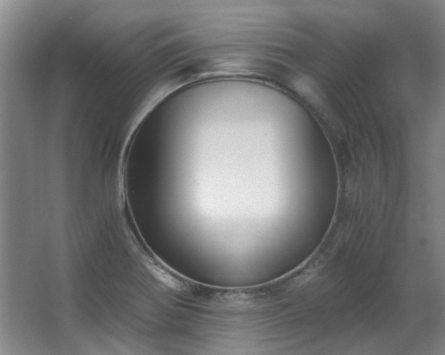 X0000068311370200604241352