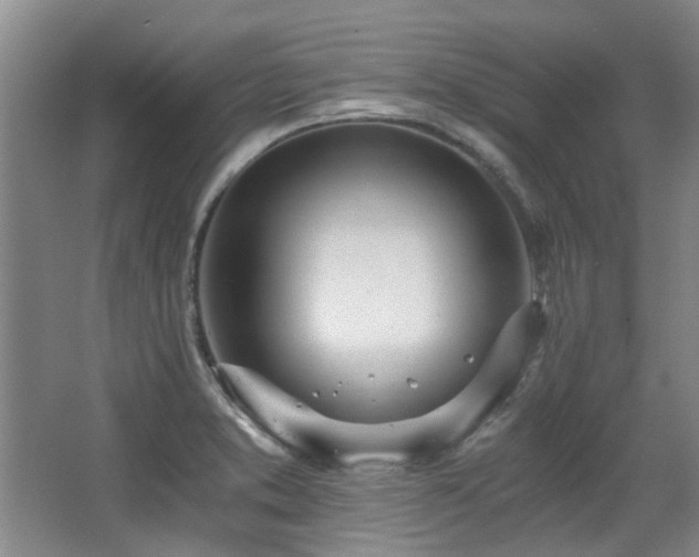 X0000068311373200604241352