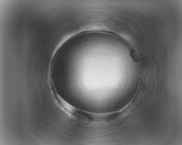 X0000068311374200604241352