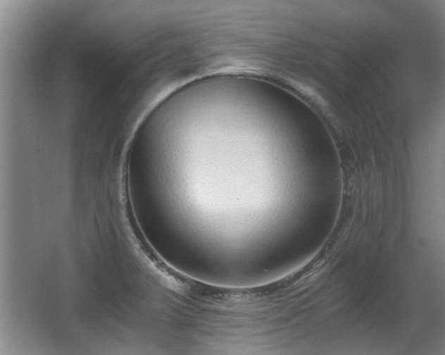 X0000068311375200604241352