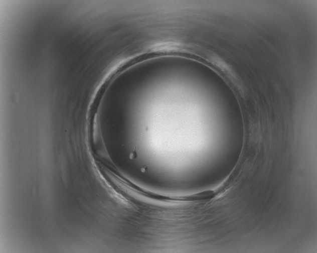 X0000068311376200604241352