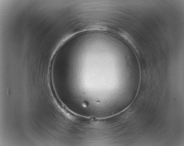 X0000068311379200604241352