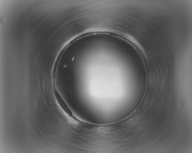 X0000068311380200604241352