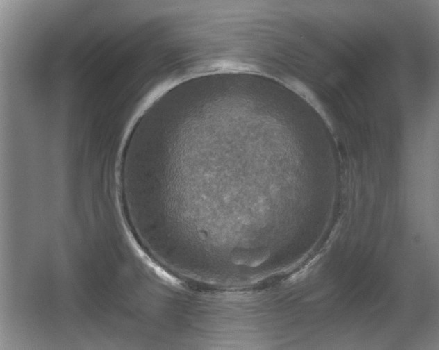 X0000068311381200604241352