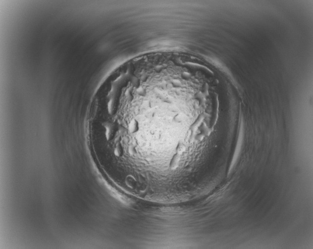 X0000068311383200604241352