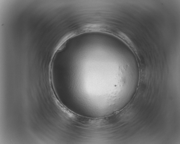 X0000068311386200604241352