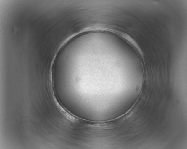 X0000068311388200604241352