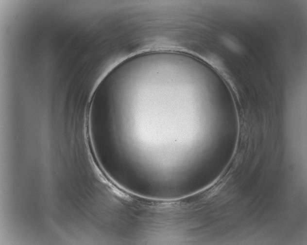 X0000068311390200604241352