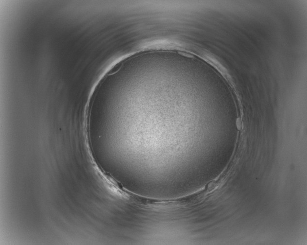 X0000068311392200604241352