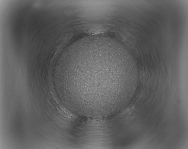 X0000068311393200604241351