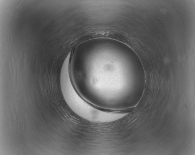 X0000068311394200604241351