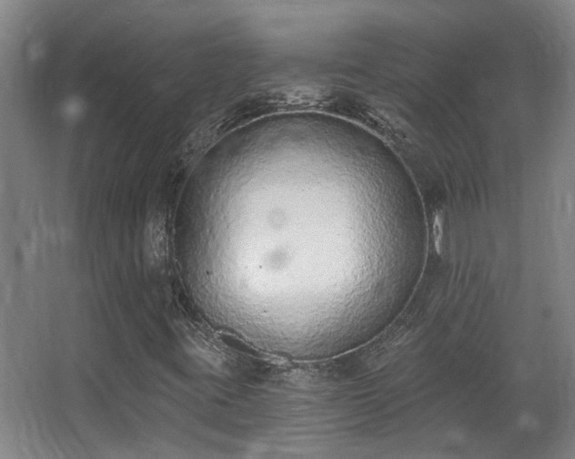 X0000068311395200604241351