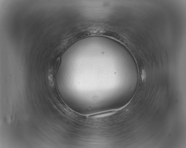 X0000068311396200604241351