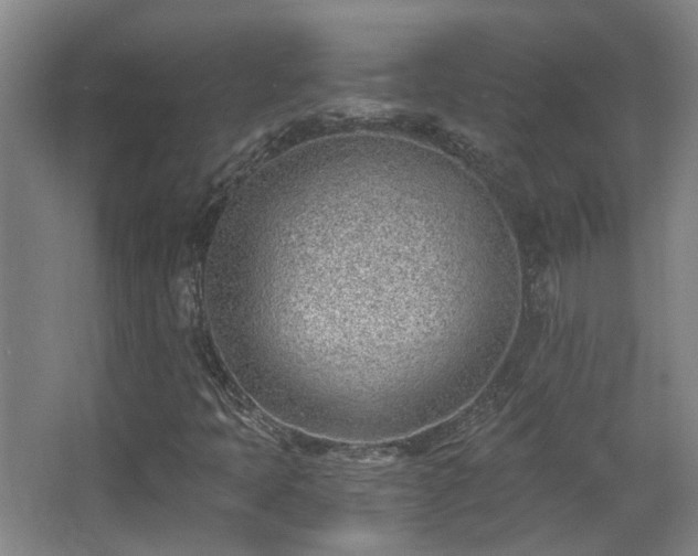 X0000068311397200604241351