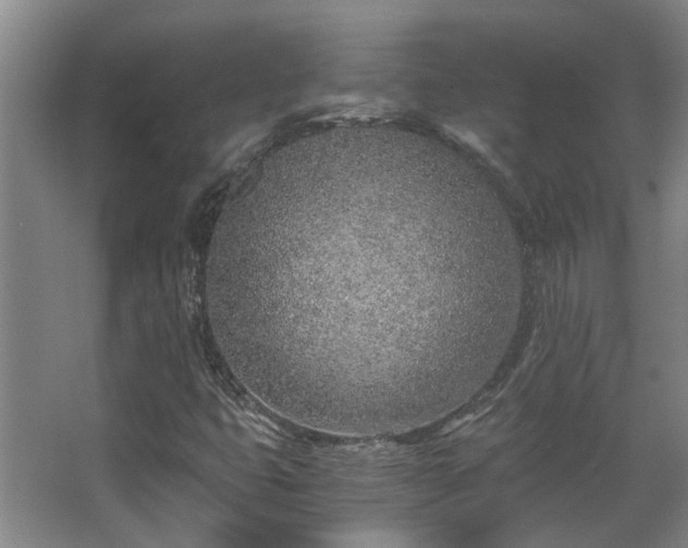 X0000068311399200604241351